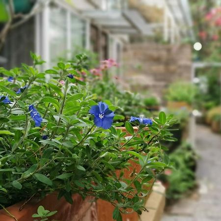 Shenzhen No'6 Garden Villa --French Window With Garden View,Close To Sea World &Shekou Ferry Port &K11 Ecoast &Subway Nearby ,Offer Western Food And Coffee &English Speaking With Tour Services Εξωτερικό φωτογραφία