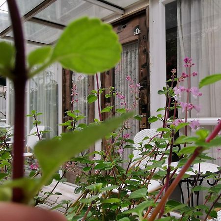 Shenzhen No'6 Garden Villa --French Window With Garden View,Close To Sea World &Shekou Ferry Port &K11 Ecoast &Subway Nearby ,Offer Western Food And Coffee &English Speaking With Tour Services Εξωτερικό φωτογραφία